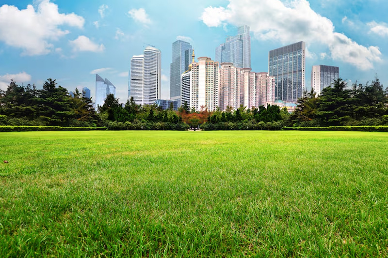 Residential & Commercial Plots